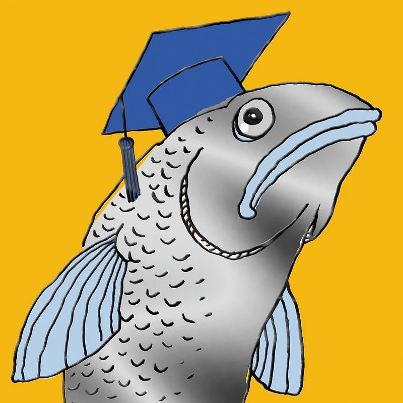 Please Enjoy This Cod Funny Graduation Card for only USD 3.99 | Hallmark
