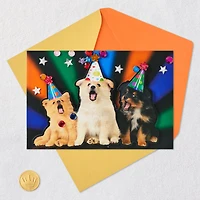 Party Animal Dogs Funny Musical Birthday Card for only USD 9.59 | Hallmark