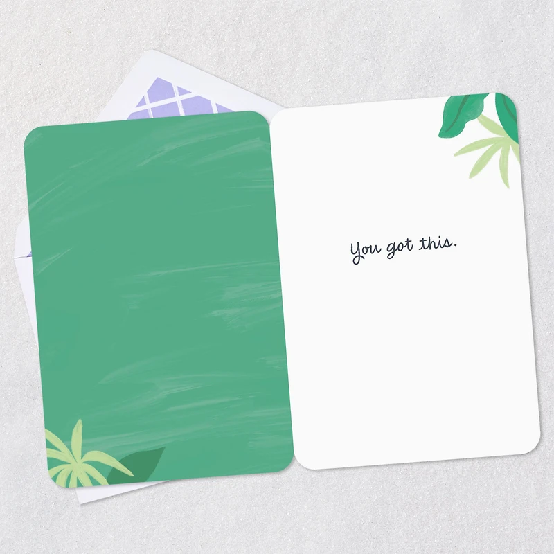 Slow But Steady Get Well Card for only USD 2.99 | Hallmark