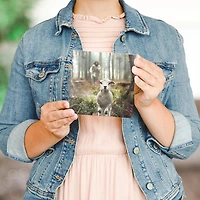 Sincere Surroundings Jesus and Lamb Scene Wood Sign for only USD 12.99 | Hallmark