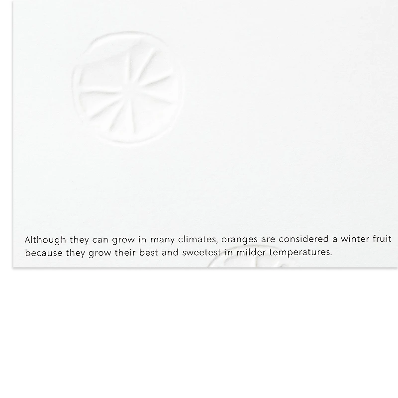 UNICEF Lush Citrus and Botanicals Boxed Christmas Cards, Pack of 20 for only USD 20.50 | Hallmark