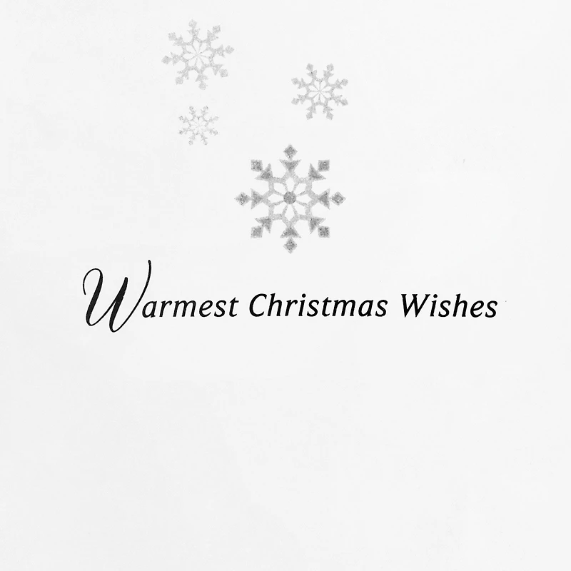 Snowflake Ornaments on Black Boxed Christmas Cards, Pack of 12 for only USD 20.49 | Hallmark