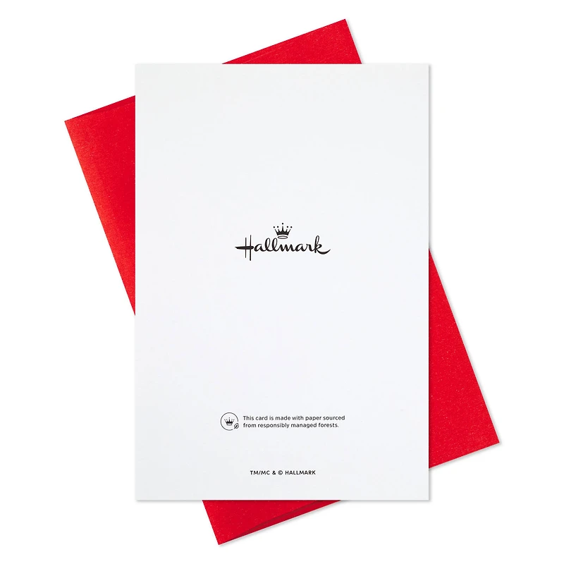 Christmas Spirit Boxed Christmas Cards With Detachable Ornaments, Pack of 10 for only USD 17.49 | Hallmark