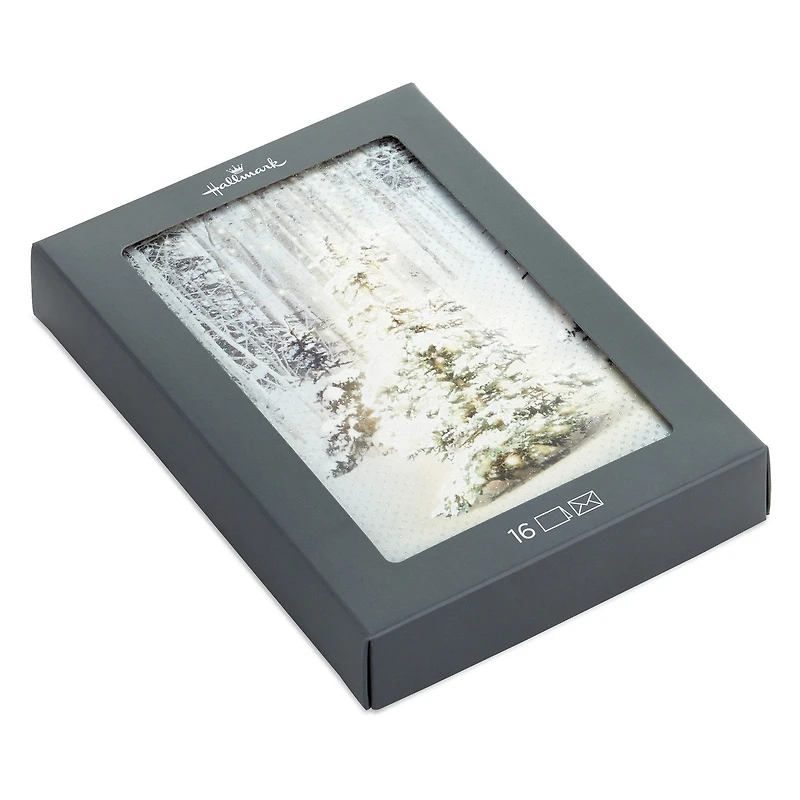 Snowy Pine Tree Blessings Everywhere Boxed Christmas Cards, Pack of 16 for only USD 12.49 | Hallmark