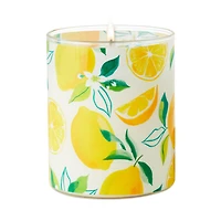 Meyer Lemon and Lemon Zest Scented 2-Wick Jar Candle, 14.5 oz. for only USD 19.99 | Hallmark