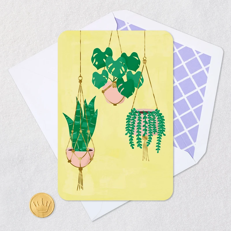 Houseplants in Hanging Baskets Blank Card for only USD 2.99 | Hallmark