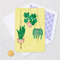 Houseplants in Hanging Baskets Blank Card for only USD 2.99 | Hallmark