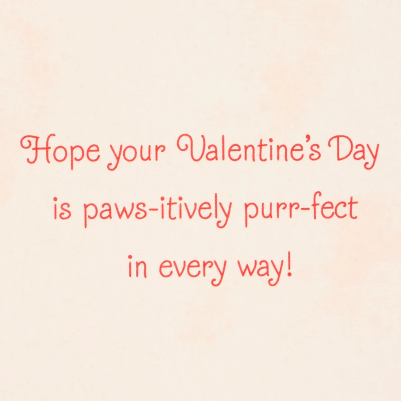Pawsitively Purrfect Valentine's Day Card From the Cat for only USD 2.99 | Hallmark