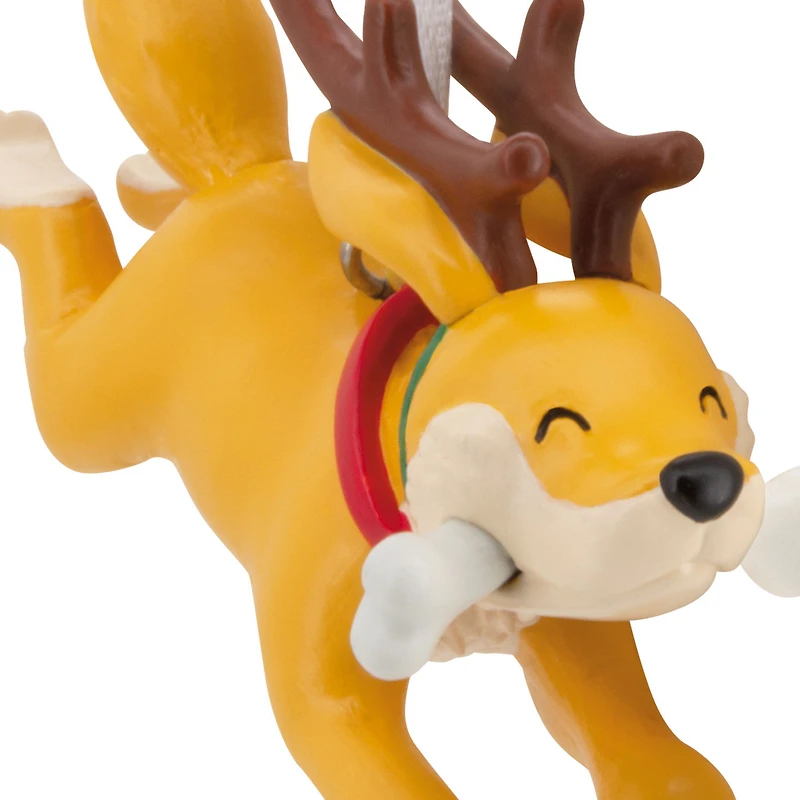 Reindeer Dog With Bone Hallmark Ornament for only USD 14.99 | Hallmark