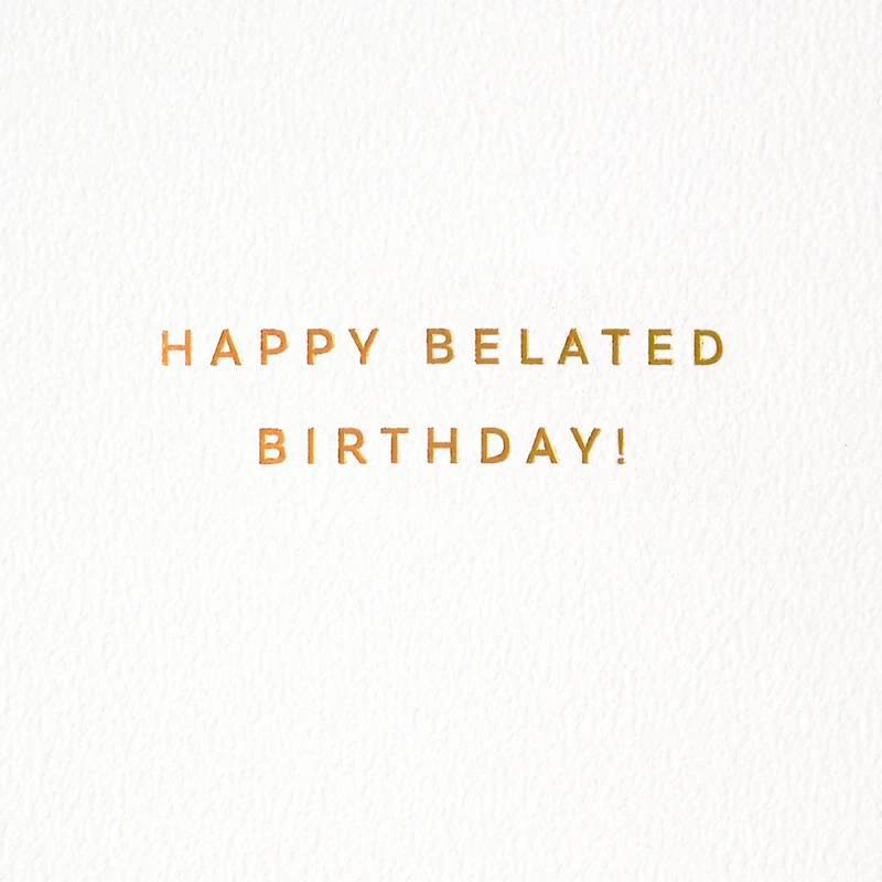 One Day Isn't Enough Belated Birthday Card for only USD 6.59 | Hallmark