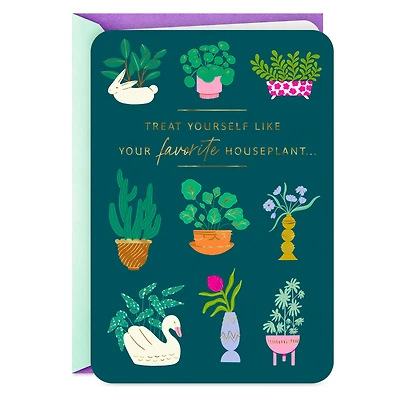 Treat Yourself Like a Plant Funny Birthday Card for only USD 2.99 | Hallmark