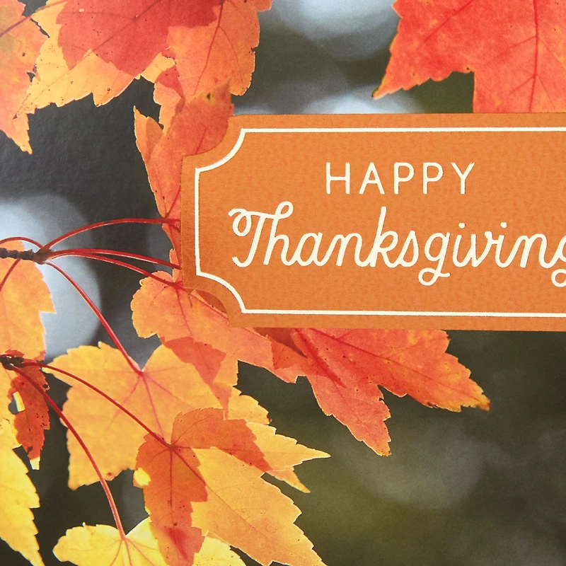 Colorful Fall Leaves Thanksgiving Cards, Pack of 10 for only USD 7.99 | Hallmark