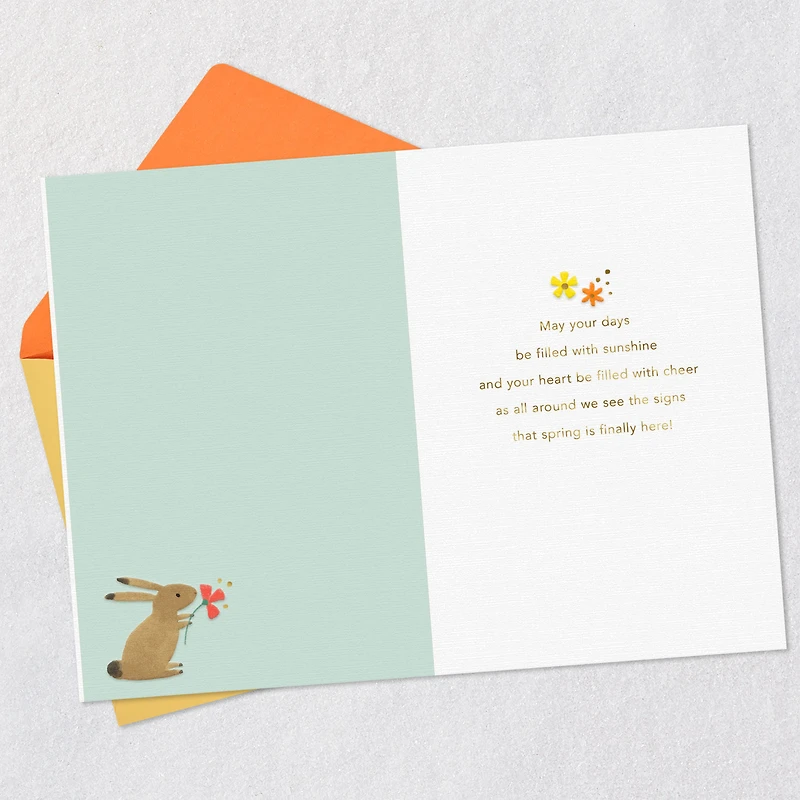 Spring Is Finally Here Easter Card for only USD 3.99 | Hallmark