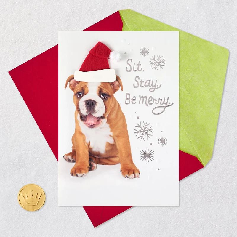 Happy From Head to Tail, Dog Christmas Card for only USD 6.99 | Hallmark