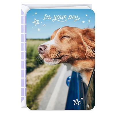It's Your Day Card for only USD 2.99 | Hallmark