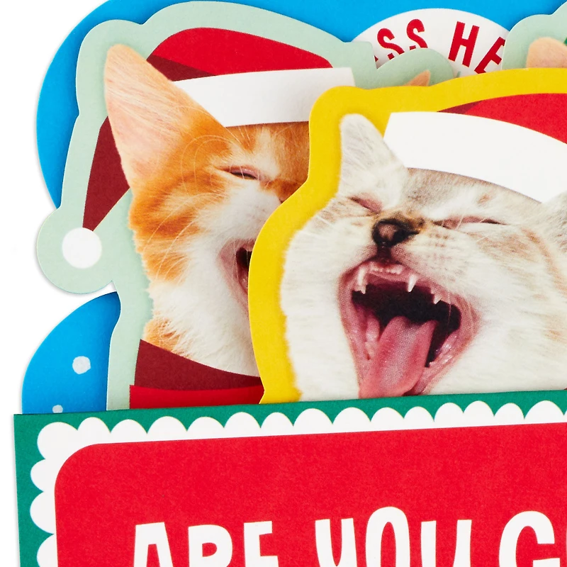 Caroling Cats Funny Musical Pop-Up Christmas Card for only USD 7.99 | Hallmark