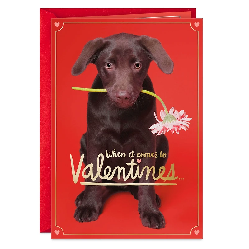 I Chews You Funny Valentine's Day Card for only USD 2.50 | Hallmark