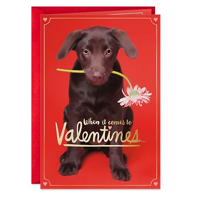 I Chews You Funny Valentine's Day Card for only USD 2.50 | Hallmark