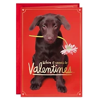 I Chews You Funny Valentine's Day Card for only USD 2.50 | Hallmark