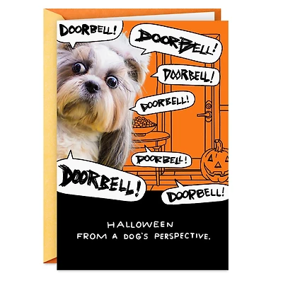 Dog and Doorbell Frenzy Funny Halloween Card for only USD 3.69 | Hallmark
