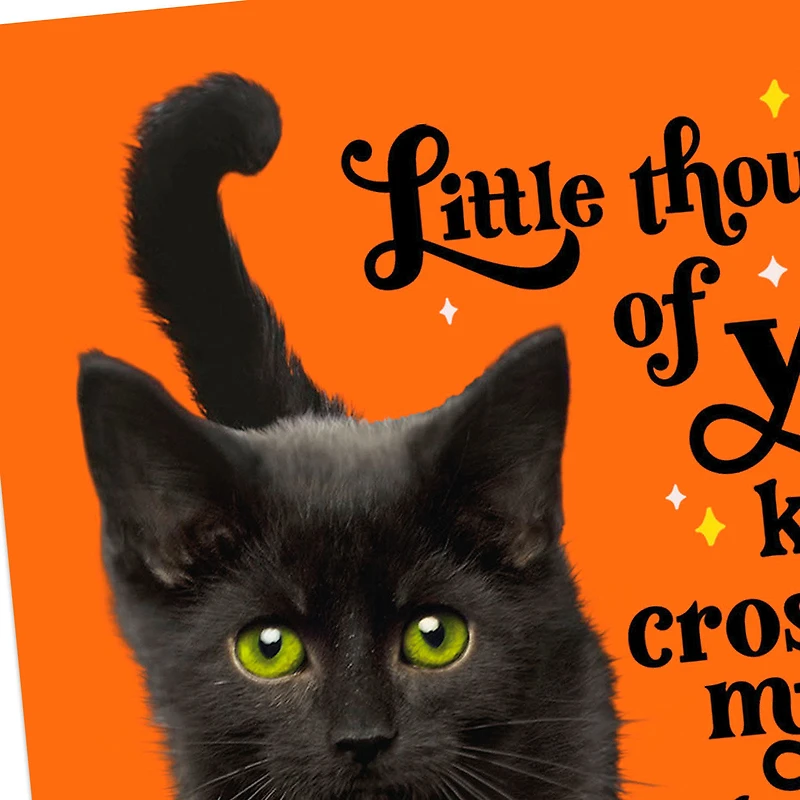 Purr-fectly Wonderful Black Cat Halloween Cards, Pack of 6 for only USD 5.99 | Hallmark