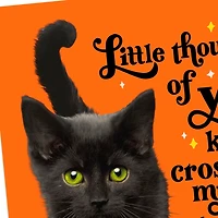 Purr-fectly Wonderful Black Cat Halloween Cards, Pack of 6 for only USD 5.99 | Hallmark