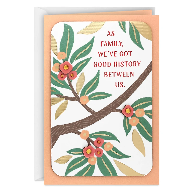 As Family, We've Got Good History Birthday Card for Her for only USD 8.99 | Hallmark