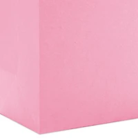 9.6" Solid Pink Medium Gift Bag for only USD 3.49 | Hallmark