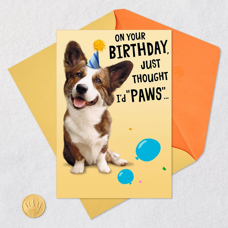 Wishing You a Treat-Filled Celebration Funny Birthday Card for only USD 4.59 | Hallmark