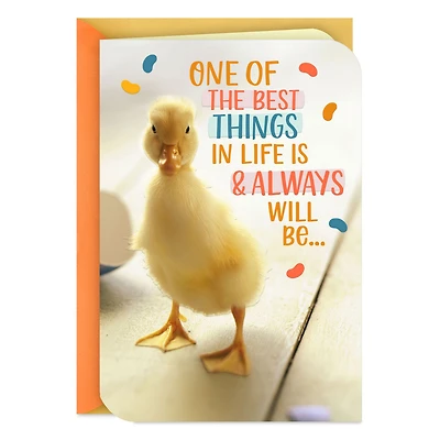 Best Things in Life Easter Card for Grandson for only USD 2.99 | Hallmark