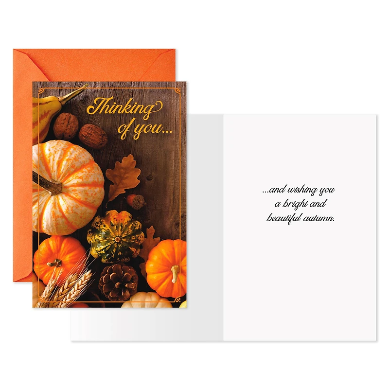 Autumn Pumpkins and Leaves Thinking of You Cards, Pack of 6 for only USD 4.99 | Hallmark