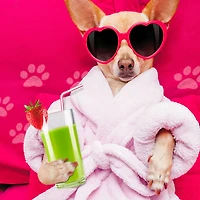 Can't Improve on Perfection Funny Birthday Card for only USD 3.99 | Hallmark