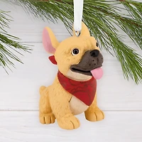 French Bulldog Hallmark Ornament for only USD 14.99 | Hallmark