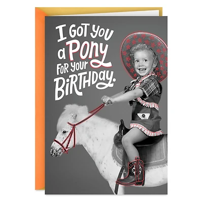 I Got You a Pony Funny Birthday Card for only USD 3.99 | Hallmark