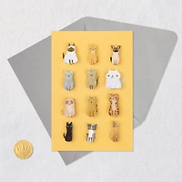 Cats on Yellow Blank Card for only USD 6.59 | Hallmark