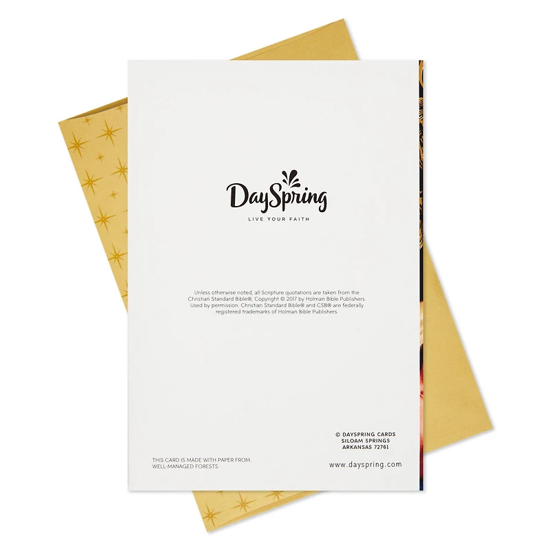 Mary and Child Religious Boxed Christmas Cards, Pack of 16 for only USD 15.49 | Hallmark