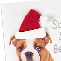 Happy From Head to Tail, Dog Christmas Card for only USD 6.99 | Hallmark