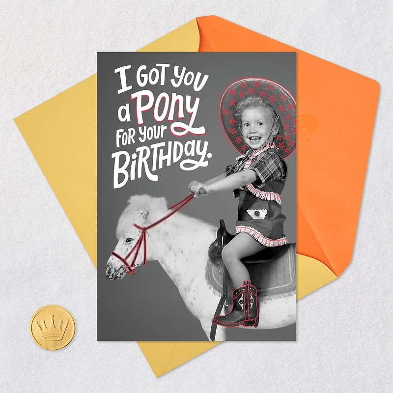 I Got You a Pony Funny Birthday Card for only USD 3.99 | Hallmark