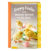 My Favorite Peeps Easter Card for Brother and Family for only USD 3.99 | Hallmark