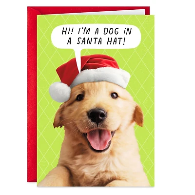 Puppy Dog in Santa Hat Funny Christmas Card for only USD 3.69 | Hallmark