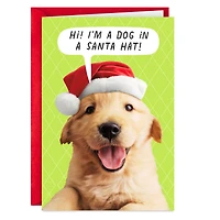 Puppy Dog in Santa Hat Funny Christmas Card for only USD 3.69 | Hallmark