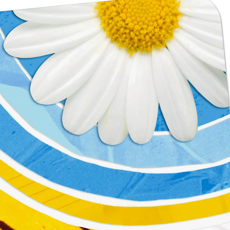 Flowers and Butterfly Wing Collage Blank Card for only USD 2.99 | Hallmark