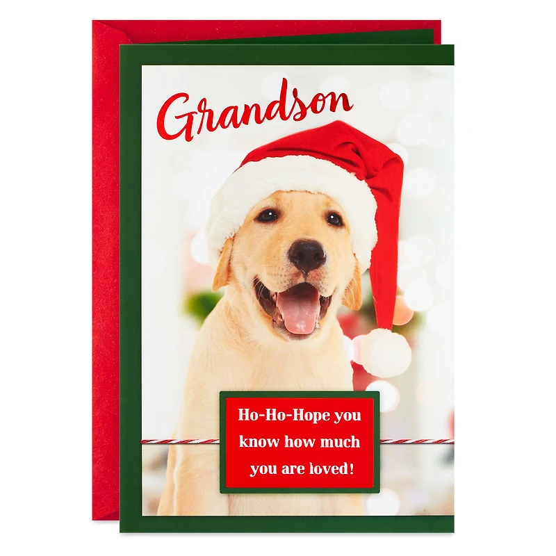 Golden Retriever in Santa Hat Christmas Card for Grandson for only USD 2.00 | Hallmark