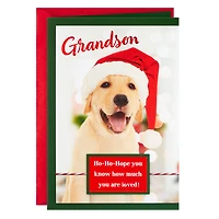 Golden Retriever in Santa Hat Christmas Card for Grandson for only USD 2.00 | Hallmark