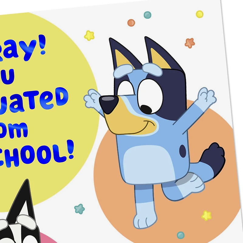 Bluey Time to Celebrate Preschool Graduation Card for only USD 3.99 | Hallmark