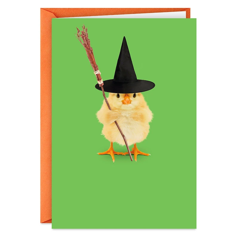 Chick in Witch Hat Funny Halloween Card for only USD 2.00 | Hallmark