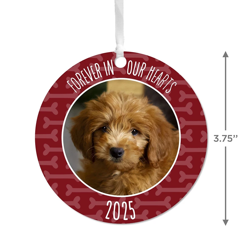Pet Memorial Round Metal Personalized Ornament, Custom Photo and Text for only USD 17.99 | Hallmark