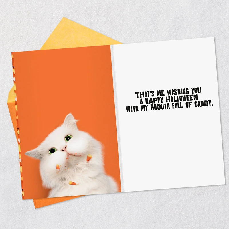 Mouth Full of Candy Funny Halloween Card for only USD 2.99 | Hallmark