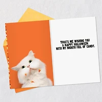 Mouth Full of Candy Funny Halloween Card for only USD 2.99 | Hallmark