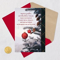 You Are Special Christmas Card for Sister and Brother-in-Law for only USD 4.59 | Hallmark